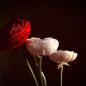 Floral Cascade